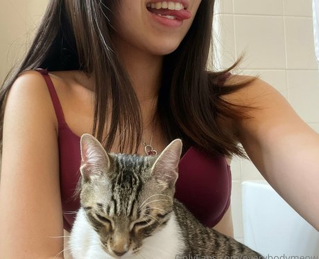 everybodymeow onlyfans nude content