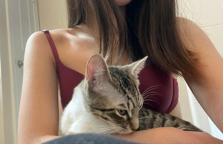 everybodymeow onlyfans boobs