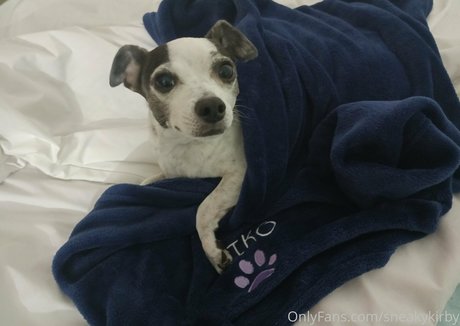 sneakykirby only fans photos