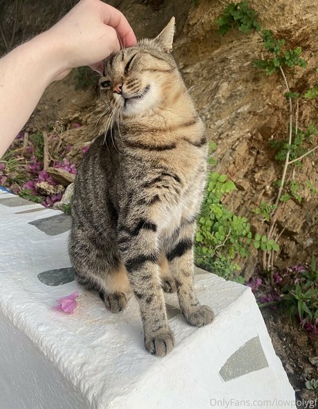 lowpolygf onlyfans porn