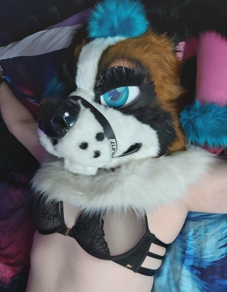 lexipuppy onlyfans archives