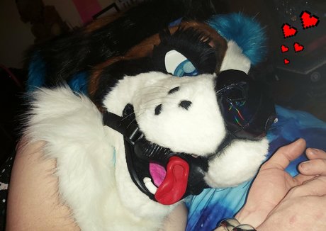 lexipuppy nude only fans leaks