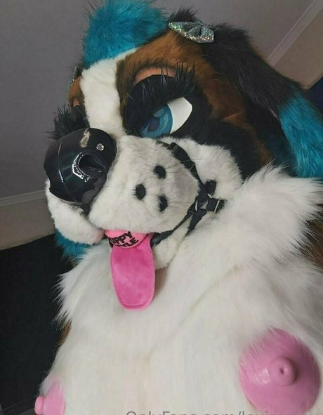 lexipuppy only fans leaks