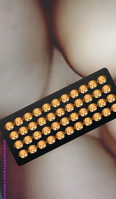 lexipuppy Profile image