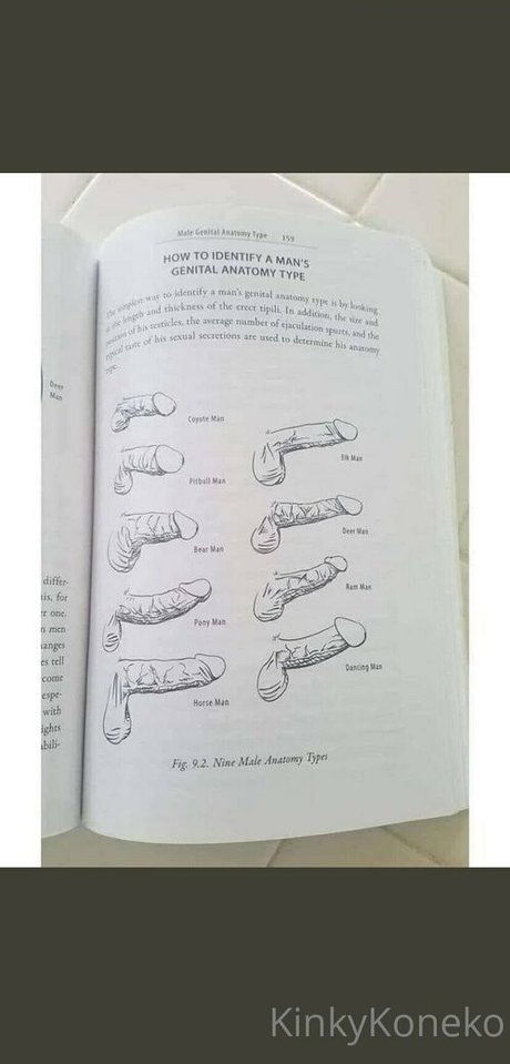 kinkykoneko69 onlyfans archives