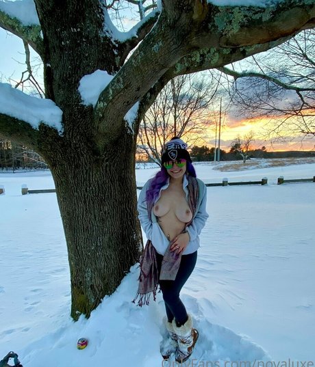 novaluxe onlyfans nude leaks