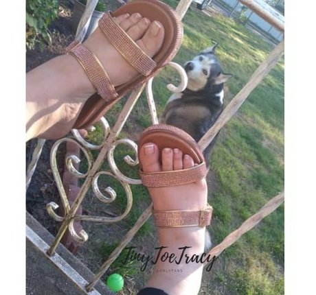 tinytoetracy naked only fans