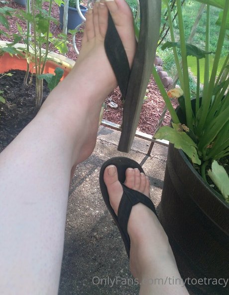 tinytoetracy onlyfans leaked naked