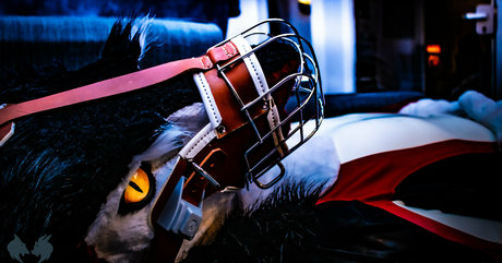 sergnderg onlyfans leak xxx