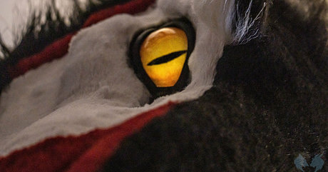 sergnderg onlyfans leake