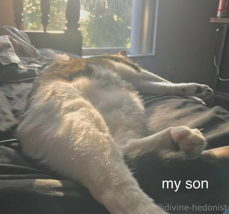 divine hedonist free onlyfans leaked nudes