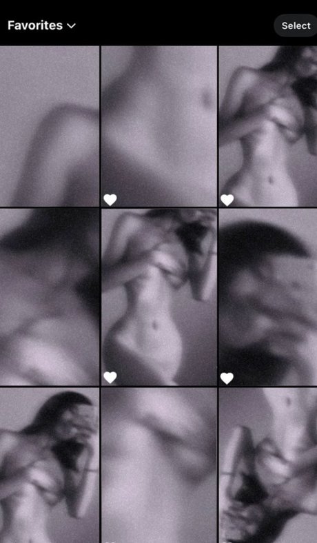 Cmp Perla Profile image