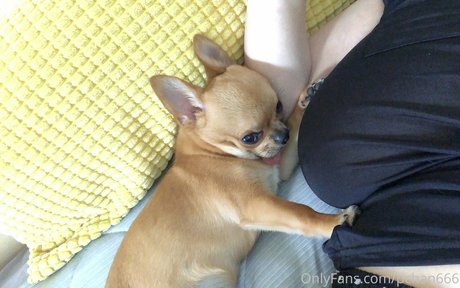 Pchan 666 onlyfans pics nude
