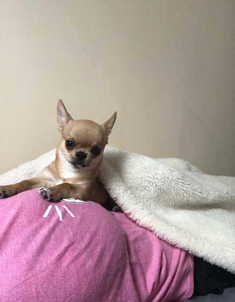 Pchan 666 onlyfans xxx