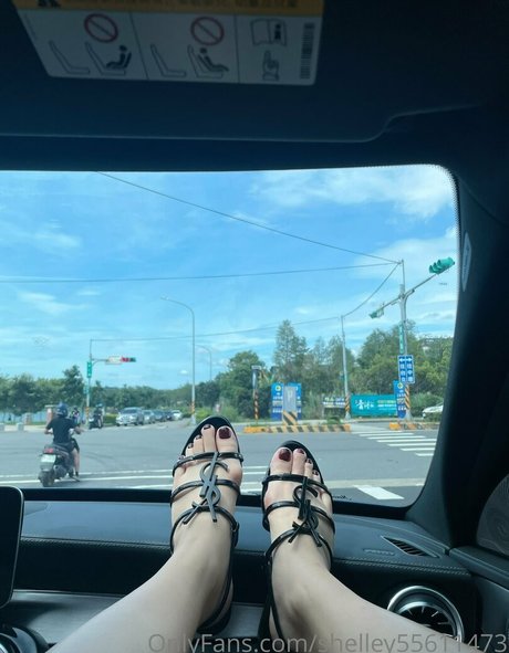 shelley55611473 nude onlyfans porn