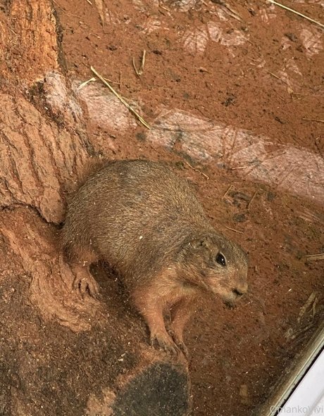 emo onlyfans beautiful nude artwork