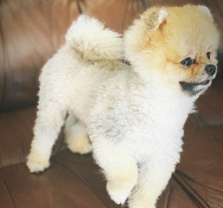 Maya Bulgarien onlyfans sextape leak