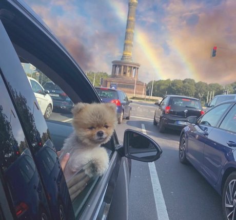 Maya Bulgarien onlyfans creator