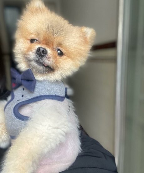 Maya Bulgarien onlyfans fotos