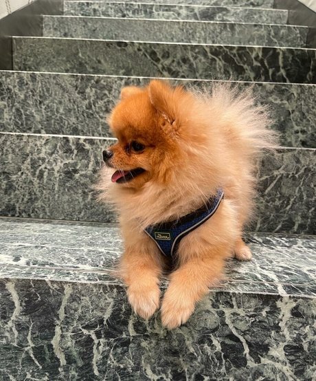 hairy pawg onlyfans free porn shot