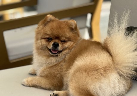 Maya Bulgarien onlyfans nide