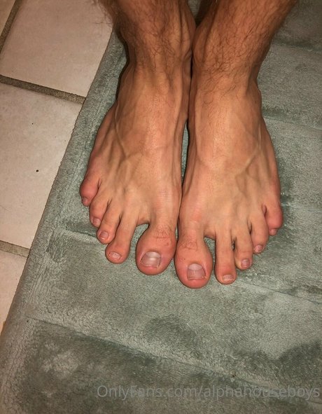 alphahouseboys only fans nude leaks
