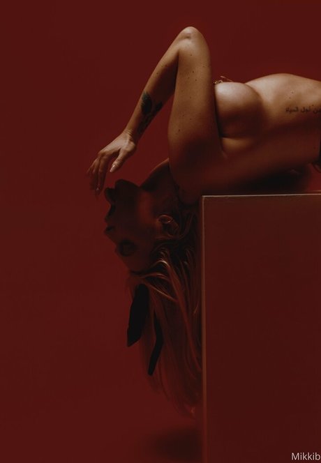 mikkib Profile image