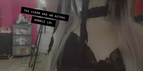 lewdcesu onlyfans strip