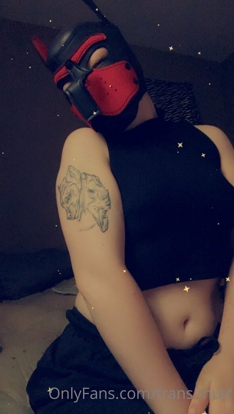 trans mutt onlyfans leaked