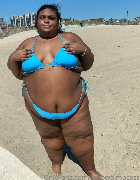 ssbbwpimpcess leaked onlyfans pictures