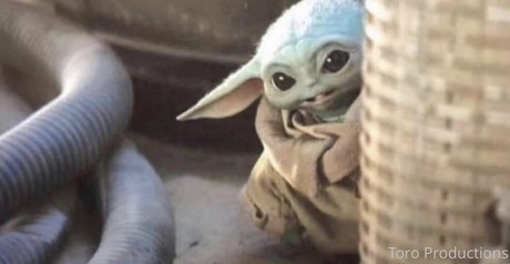 toroproductions onlyfans naked leak