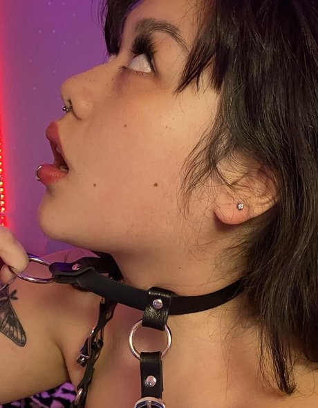 cumdumplin sex tape onlyfans