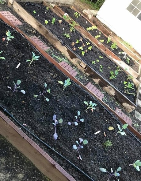 gay teacher onlyfans free naked portrait