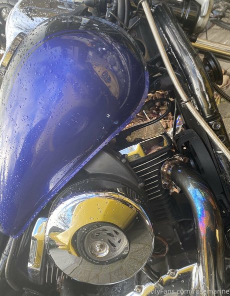 rosemarine onlyfans nude content