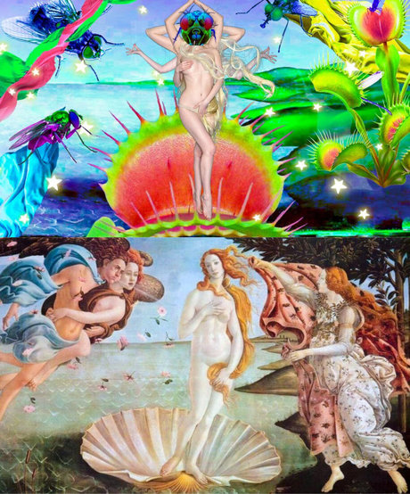 Evettes Niche onlyfans pics