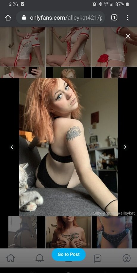 Alleykat421 leak onlyfans nude