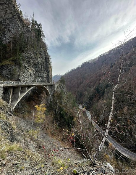 Anisyia_ nude onlyfans leaked