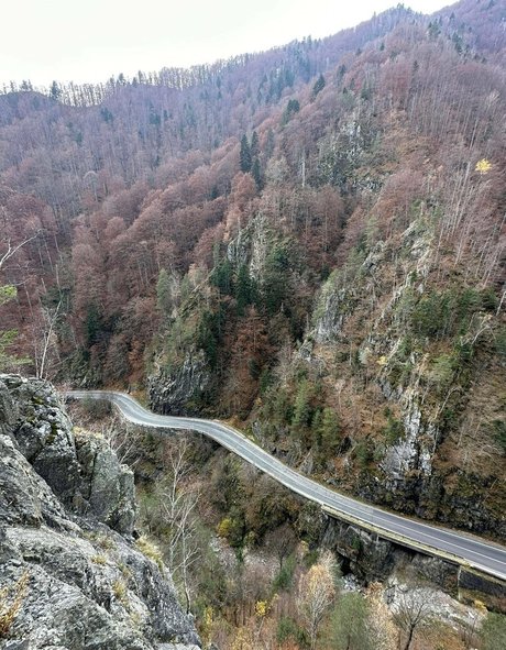 Anisyia_ onlyfans nudes