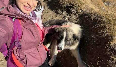 Anisyia_ leak onlyfans