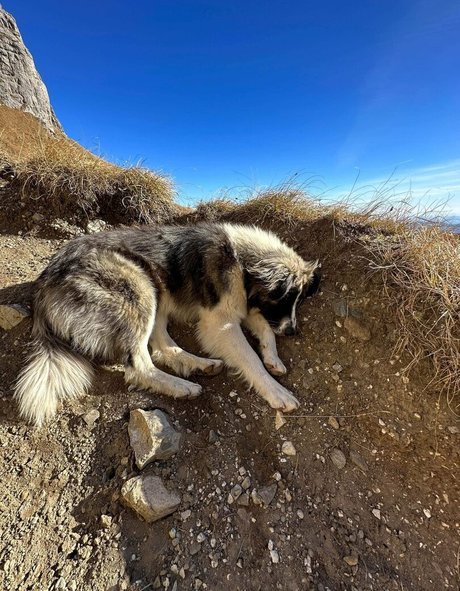 Anisyia_ onlyfans lean