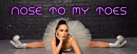 nosetomytoes Profile image