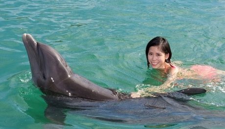 Joeykim leak onlyfans