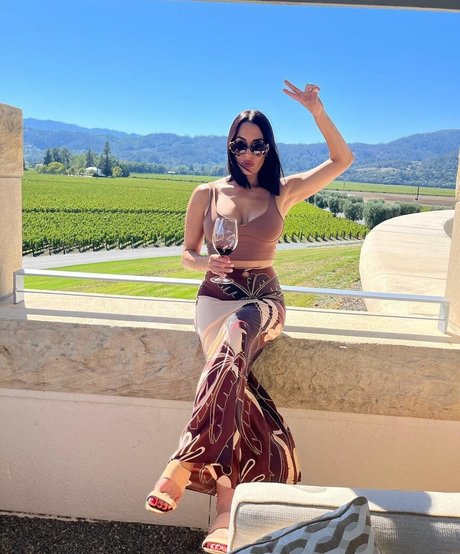 The Bella Twins_ onlyfans free content