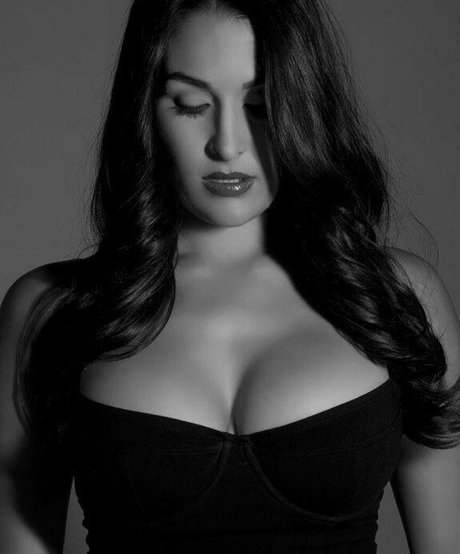 The Bella Twins_ onlyfans leaks porn