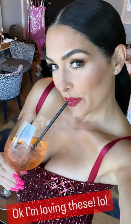 The Bella Twins_ porn onlyfans leaks