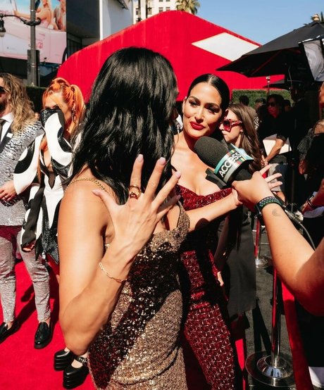 The Bella Twins_ onlyfans tits