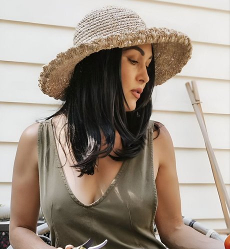 The Bella Twins_ Profile image