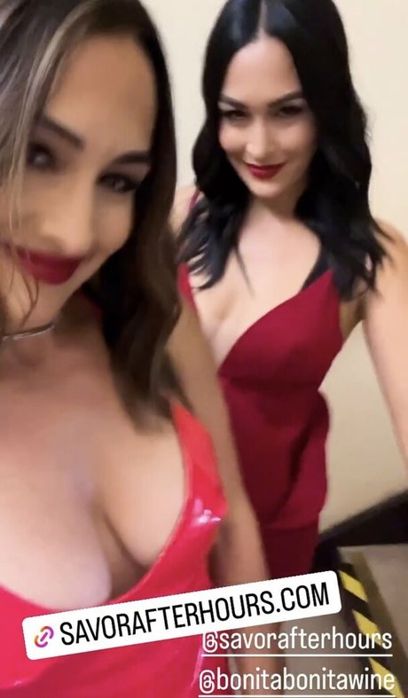The Bella Twins_ onlyfans content type