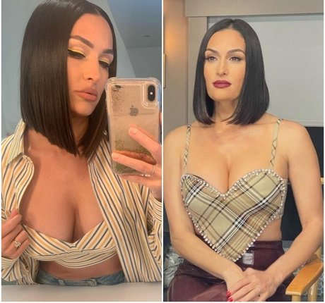 The Bella Twins_ nude only fans