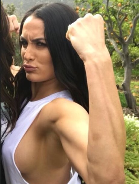 The Bella Twins_ onlyfans porn leaks